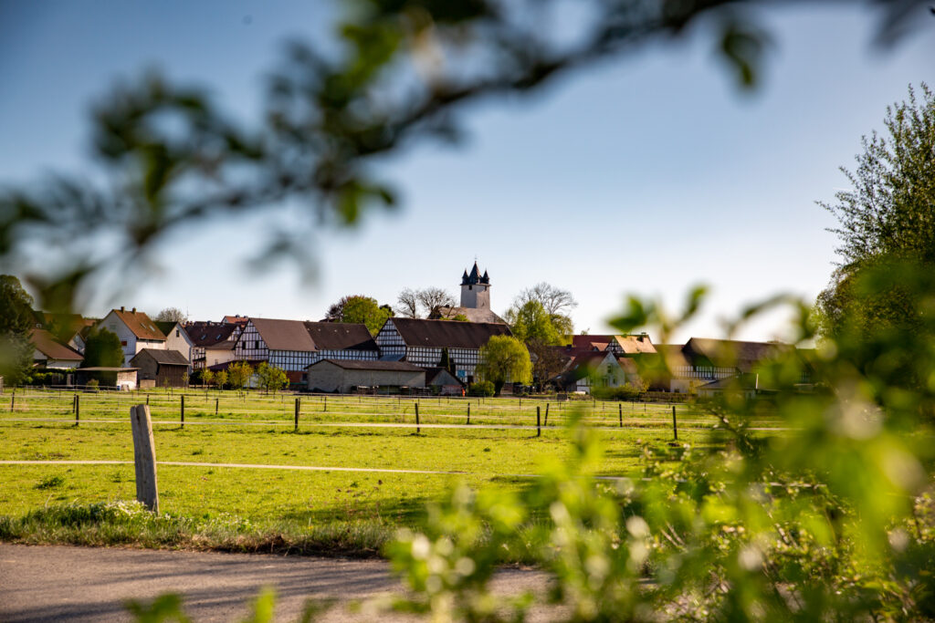 Dorfliebe: Wunderschöne Abendsonne taucht Ebsdorf in ein besonderes Licht.